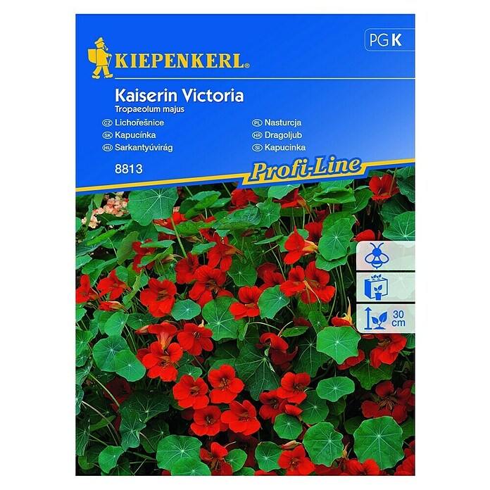 Kiepenkerl Cvetlična semena kapucinke Kaiserin Victoria  (Tropaeolum majus, Rdeča) | 8127 - Feinsämereien in PG Marke | IBYA - Sämereien | IBY - Sämereien | IB - Grünpflanzen/Sämereien | I - Stadtgarten | BAUHAUS