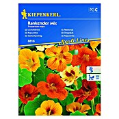 Kiepenkerl Sjeme cvijeća Dragoljub Rankerder Mix  (Tropaeolum majus, Raznobojno) | BAUHAUS