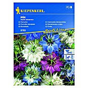 Kiepenkerl Sjeme cvijeća Damašćanska crnjika Mix  (Nigella damascena) | BAUHAUS