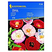 Kiepenkerl Sjeme cvijeća Mak turčinak Chorus  (Papaver rhoeas, Raznobojno) | BAUHAUS