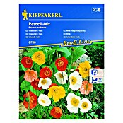 Kiepenkerl Sjeme cvijeća Mak Pastell Mix  (Papaver nudicaule, Raznobojno) | BAUHAUS