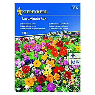 Kiepenkerl Mješavina sjemena cvijeća Last Minute (Raznobojno, 2 m² - 3 m²)