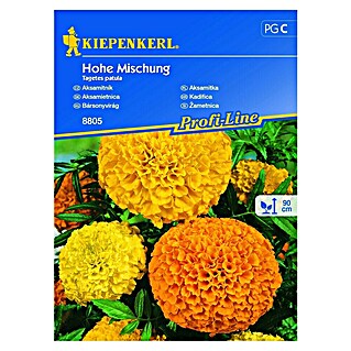 Kiepenkerl Sjeme cvijeća Kadifica Visoki Mix (Tagetes patula, Raznobojno)