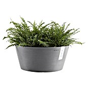 Ecopots Pflanzschale rund Frankfurt (Außenmaß (Ø x H): 30,5 x 15 cm, Kunststoff, Grau) | BAUHAUS