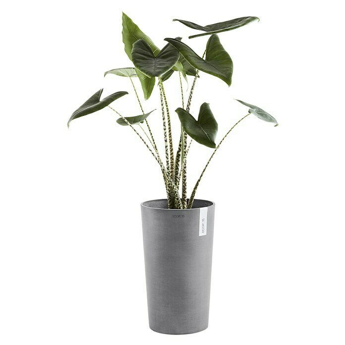 Ecopots Amsterdam Pflanzsäule rund Mid High (Außenmaß (Ø x H): 30 x 50 cm, Kunststoff, Grau) | BAUHAUS