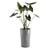 Ecopots Amsterdam Pflanzsäule rund Mid High (Außenmaß (Ø x H): 30 x 50 cm, Kunststoff, Grau) | BAUHAUS