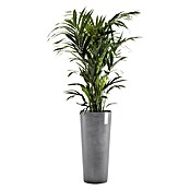 Ecopots Amsterdam Pflanzsäule rund High (Außenmaß (Ø x H): 32,5 x 70 cm, Kunststoff, Grau) | BAUHAUS