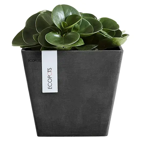 Ecopots Rotterdam Pflanzkasten