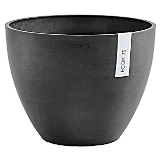 Ecopots Pflanztopf Antwerpen (Außenmaß (Ø x H): 30 x 25,5 cm, Kunststoff, Dunkelgrau)