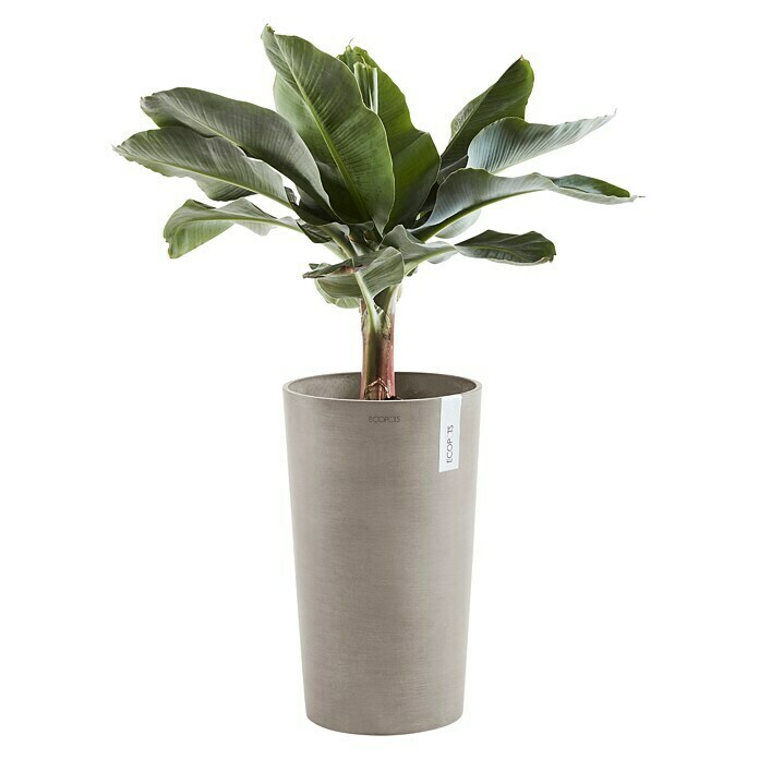 Ecopots Amsterdam Pflanzsäule rund Mid High (Außenmaß (Ø x H): 30 x 50 cm, Kunststoff, Braungrau) | BAUHAUS