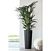 Ecopots Amsterdam Pflanzsäule rund High (Außenmaß (Ø x H): 32,5 x 70 cm, Kunststoff, Dunkelgrau) | BAUHAUS