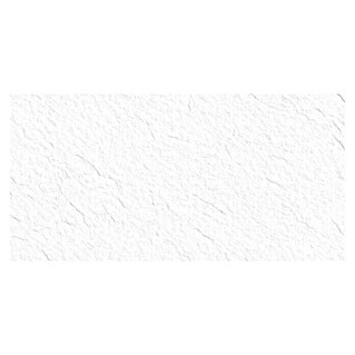 Revestimiento de pared Segment (60 x 30 cm, Blanco, Mate, Rectificado)