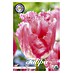 Lukovice proljetnog cvijeća Tulipan Fringed Fancy Frills 