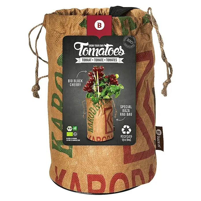 Baza Cherrytomate im Jute AnzuchtbeutelErntezeit: Mai - Produktbild einer Grow-Your-Own Tomatenpflanze der Marke Baza.nl, ideal für den Anbau von Bio Black Cherry Tomaten im eigenen Zuhause.