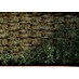 Revestimiento de pared Danubio 