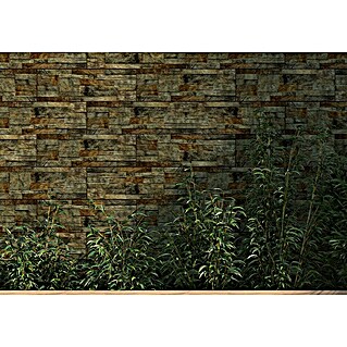 Revestimiento de pared Danubio (17 x 52 cm, Natural, Mate)