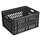 Sunware Aufbewahrungsbox Square (L x B x H: 50,6 x 40,6 x 26,1 cm, Kunststoff, Anthrazit, Offen) | BAUHAUS
