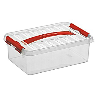 Sunware Aufbewahrungsbox Q-Line (L x B x H: 30 x 20 x 10,4 cm, Kunststoff, Transparent, Farbe Griff: Rot)