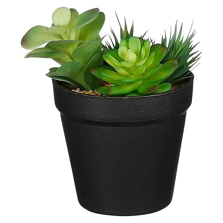 Planta artificial Suculenta verde