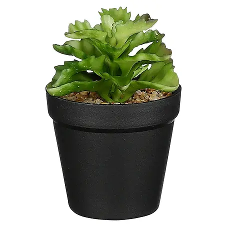 Planta artificial Suculenta verde