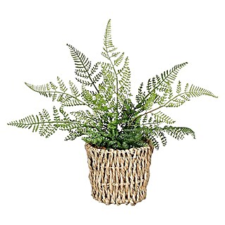 Umjetna biljka Paprat (Visina: 26 cm, Plastika, Tamno zelena)