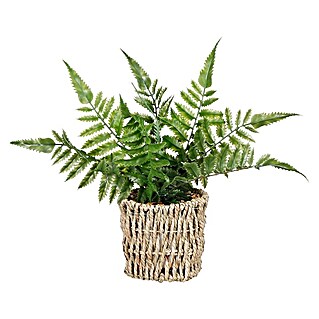 Umjetna biljka Paprat (Visina: 26 cm, Plastika, Svijetlo zelena)