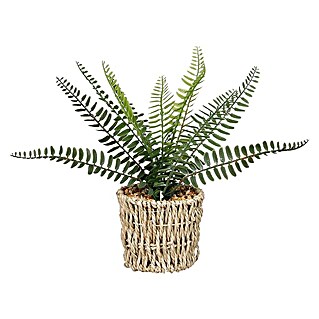 Umjetna biljka Paprat (Visina: 26 cm, Plastika, Zelena)