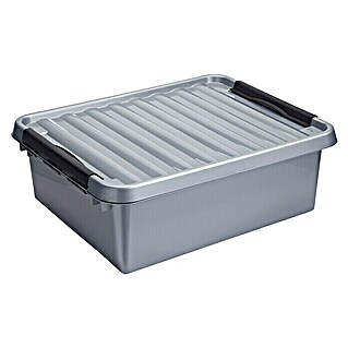 Sunware Aufbewahrungsbox Q-Line (L x B x H: 50 x 40 x 18 mm, Kunststoff, Silber)