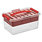 Sunware Aufbewahrungsbox Q-Line (L x B x H: 30 x 20 x 14 cm, Kunststoff, Transparent/Rot) | BAUHAUS