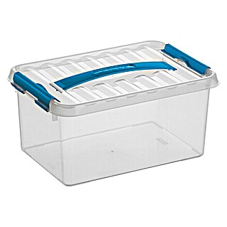 Sunware Aufbewahrungsbox Q-Line (L x B x H: 30 x 20 x 14,3 cm, Kunststoff, Transparent, Farbe Griff: Blau)