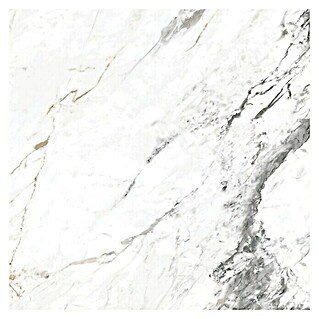 Pavimento porcelánico Tinenza (60 x 60 cm, Blanco Carrara, Brillante, Rectificado)