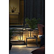 Konstsmide LED-Laterne Ravello (15 x 15 x 30 cm, Schwarz) | BAUHAUS