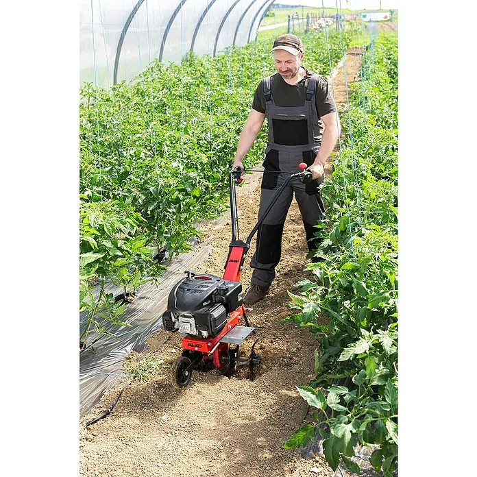 AL-KO Easy Benzin-Bodenhacke MH 360 - 2,2 kW, 4-Takt - Ein Mann benutzt eine AL-KO Gartenfräse in einem Gewächshaus, um den Boden zu bearbeiten. Das Gerät ist rot und schwarz.