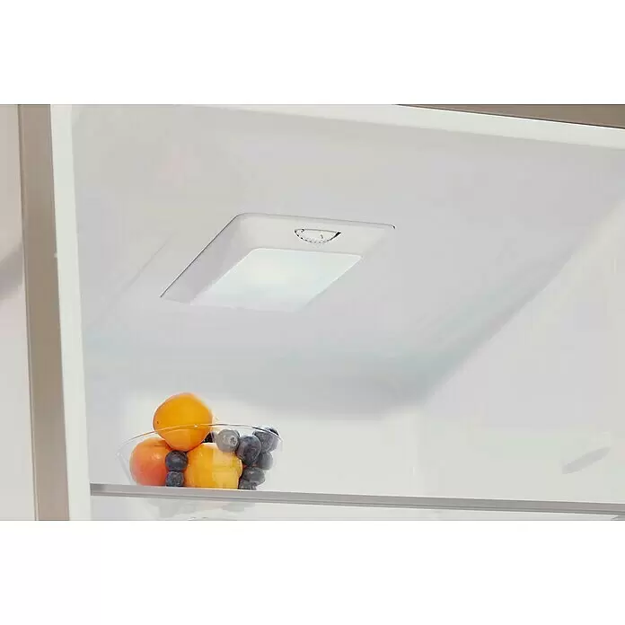 PKM Kühl-Gefrierkombination KG 249.4 IX - Nutzinhalt Gesamt: 269 l, 55,8 x 55 x 180 cm, Silber - Helles LED-Licht und eine Glasschale mit frischem Obst auf einem Glasregal im Kühlschrank.