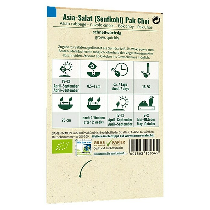 samenmaier Gemüsesamen Bio Pak Choi (Brassica rapa chinensis, Saatzeit: April, Erntezeit: Mai) | BAUHAUS