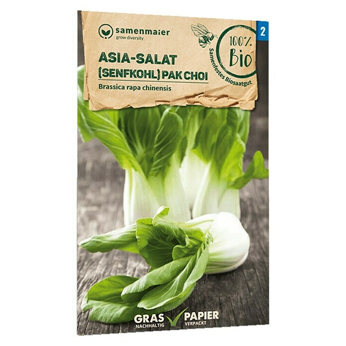 samenmaier Gemüsesamen Bio Pak Choi (Brassica rapa chinensis, Saatzeit: April, Erntezeit: Mai) | BAUHAUS