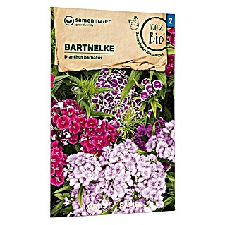 samenmaier Blumensamen Bio Bartnelke (Dianthus barbatus, Mehrfärbig, Saatzeit: Mai, Blütezeit: Juni)