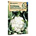 samenmaier Gemüsesamen Bio Blumenkohl Karfiol Neckarperle 