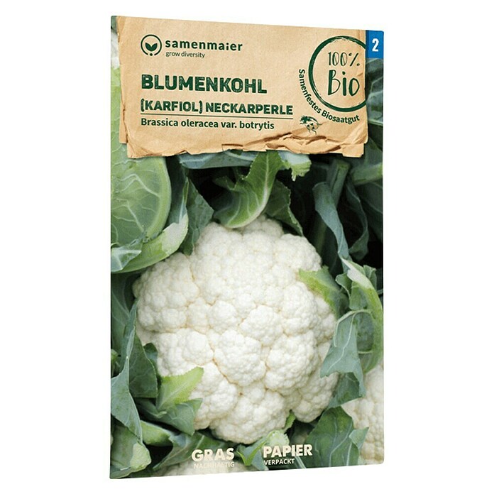 samenmaier Gemüsesamen Bio Blumenkohl Karfiol Neckarperle (Brassica oleracea var. Botrytis, Saatzeit: Februar, Erntezeit: Juni) | BAUHAUS