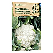 samenmaier Gemüsesamen Bio Blumenkohl Karfiol Neckarperle (Brassica oleracea var. Botrytis, Saatzeit: Februar, Erntezeit: Juni) | BAUHAUS