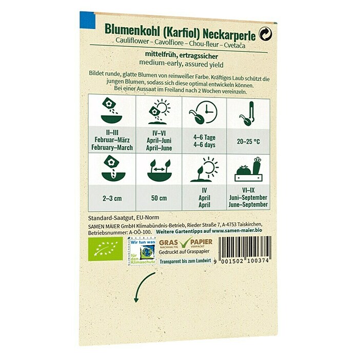 samenmaier Gemüsesamen Bio Blumenkohl Karfiol Neckarperle (Brassica oleracea var. Botrytis, Saatzeit: Februar, Erntezeit: Juni) | BAUHAUS