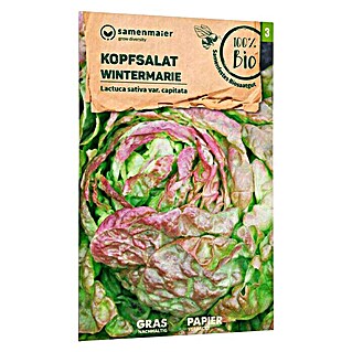 samenmaier Salatsamen Bio Kopfsalat Wintermarie (Lactuca sativa var. capitata, Erntezeit: April, 0,2 g)