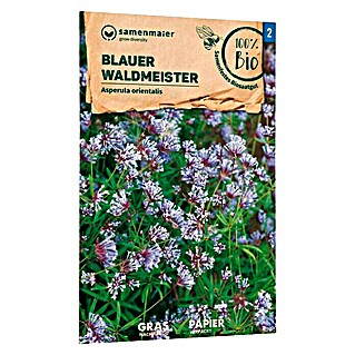 samenmaier Blumensamen Bio Blauer Waldmeister (Asperula orientalis, Blau, Saatzeit: April, Blütezeit: Juni)