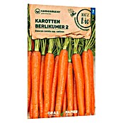 samenmaier Gemüsesamen Bio Karotten Berlikumer 2 (Daucus carota ssp. sativus, Saatzeit: April, Erntezeit: September) | BAUHAUS