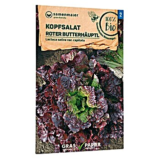 samenmaier Salatsamen Bio Kopfsalat - Roter Butterhäutel (Lactuca sativa var. capitata, Erntezeit: Mai, 0,2 g)