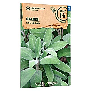 samenmaier Kräutersamen Bio Salbei (Salvia Officinalis, Saatzeit: Mai, Erntezeit: Juli)
