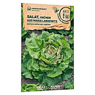 samenmaier Salatsamen Bio Salat - Grüner aus Maria Lankowitz (Lactuca sativa var. capitata, Erntezeit: Mai, 0,3 g)