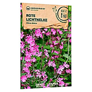 samenmaier Wildblumensamen Bio Rote Lichtnelke (Silene dioica, Rosa)