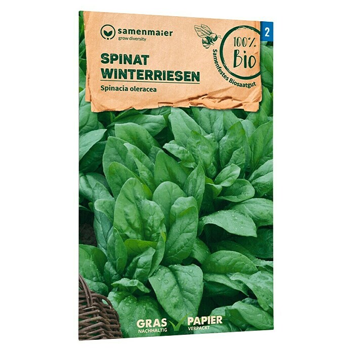 samenmaier Gemüsesamen Bio Spinat - Winterriesen (Spinacia oleracea, Saatzeit: März, Erntezeit: Mai) | BAUHAUS