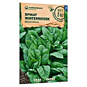 samenmaier Gemüsesamen Bio Spinat - Winterriesen (Spinacia oleracea, Saatzeit: März, Erntezeit: Mai) | BAUHAUS